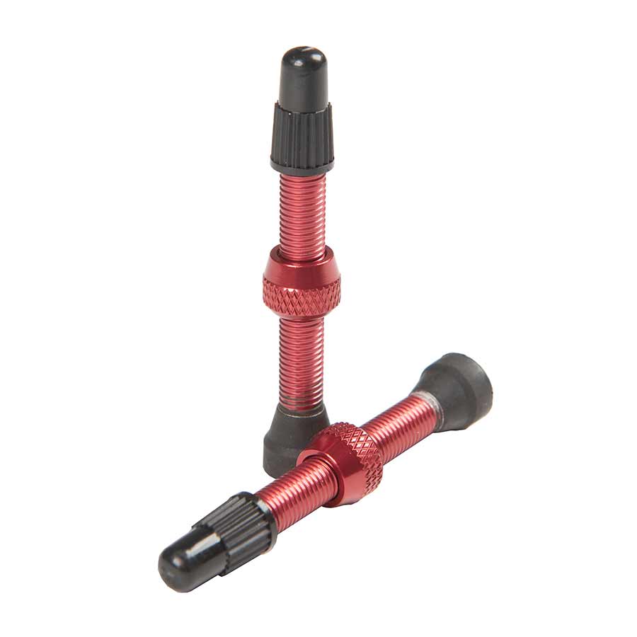 Tubeless Valves