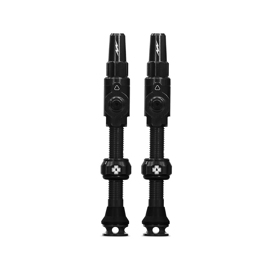 Large, Tubeless Valve, Presta, 45mm, Black, Pair