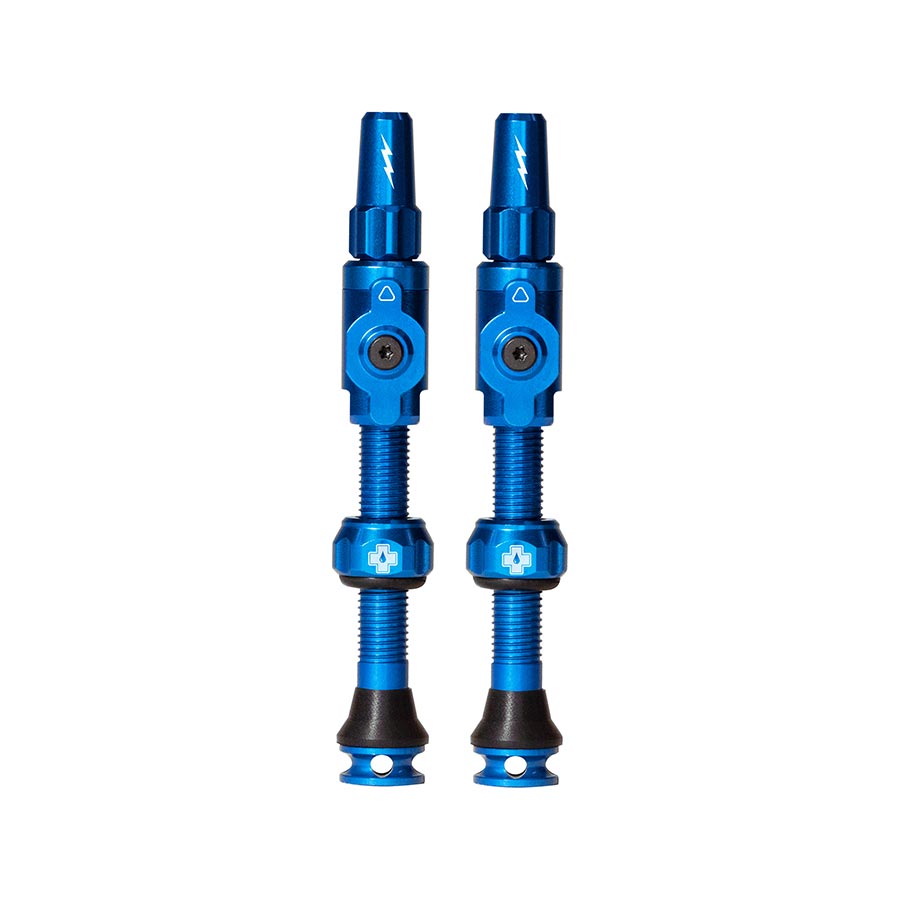 Large, Tubeless Valve, Presta, 45mm, Blue, Pair