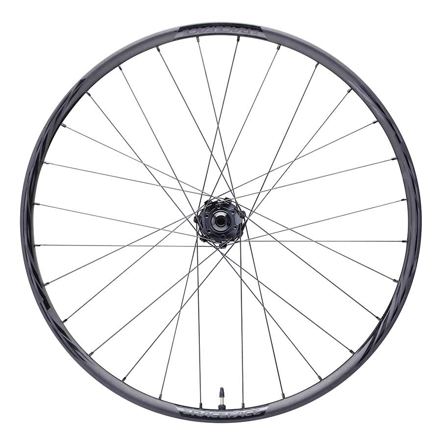 Front, 29'' / 622, Holes: F: 24, 15mm TA, 110mm Boost, Disc IS 6-bolt