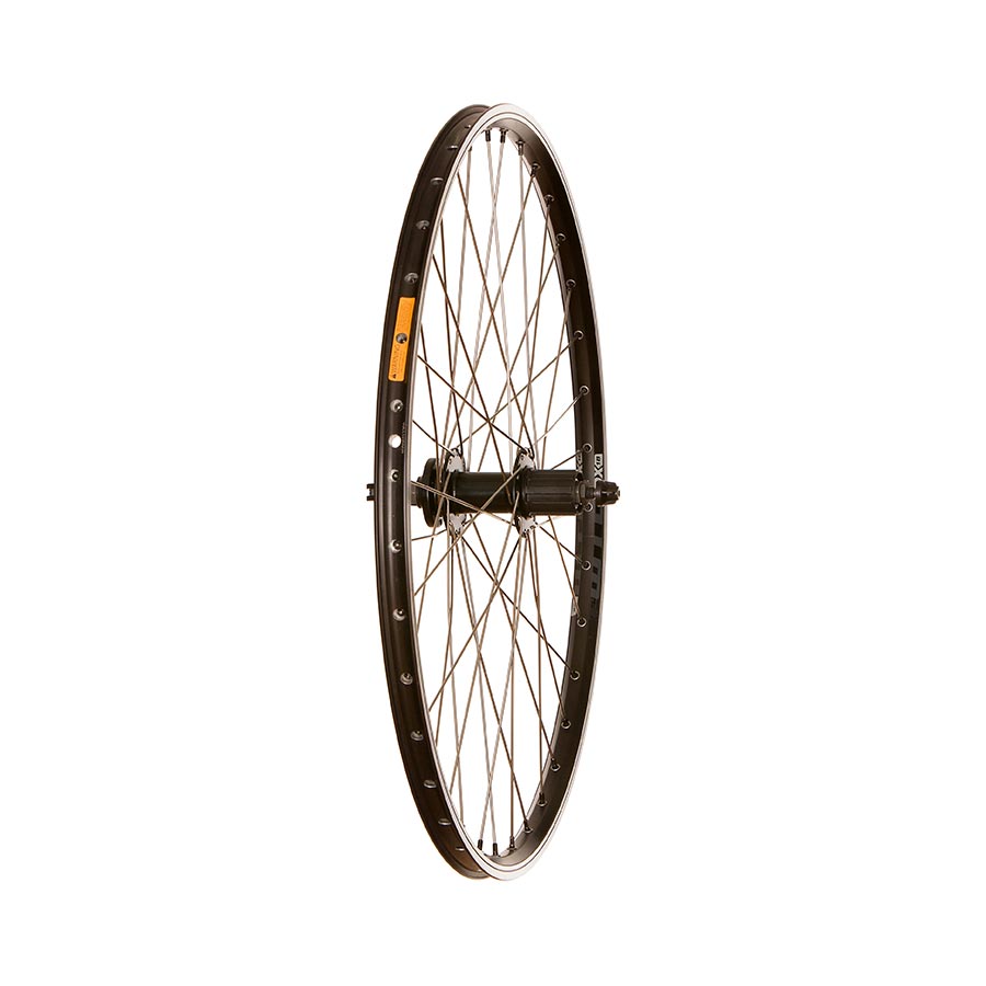 Rear, 26'' / 559, Holes: 36, QR, 135mm, Rim and Disc IS 6-bolt, Shimano HG