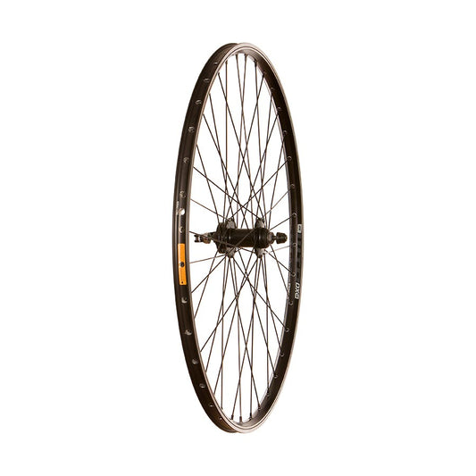 Front, 700C / 622, Holes: 36, QR, 100mm, Rim and Disc IS 6-bolt